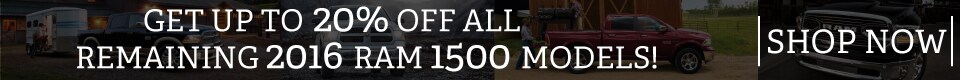 ram-20-percent-banner.jpg