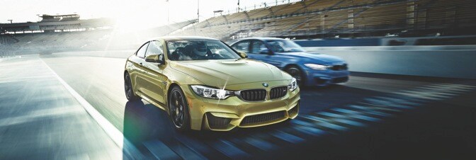 m landing page image.jpg