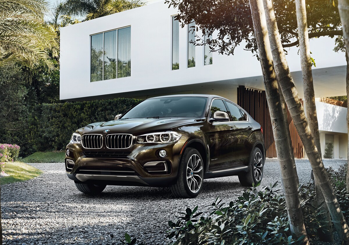 BMW-X6.png