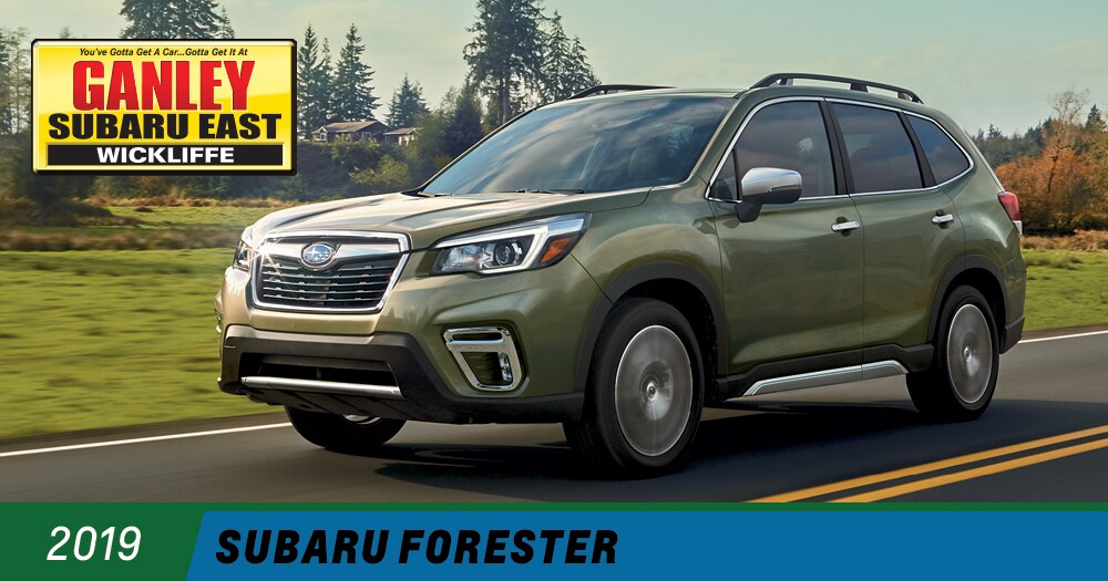 2019Forester-020419-2.jpg