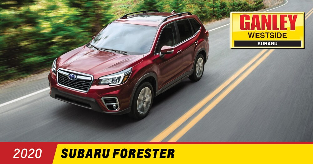 WSI2020SForester-100219-2.jpg
