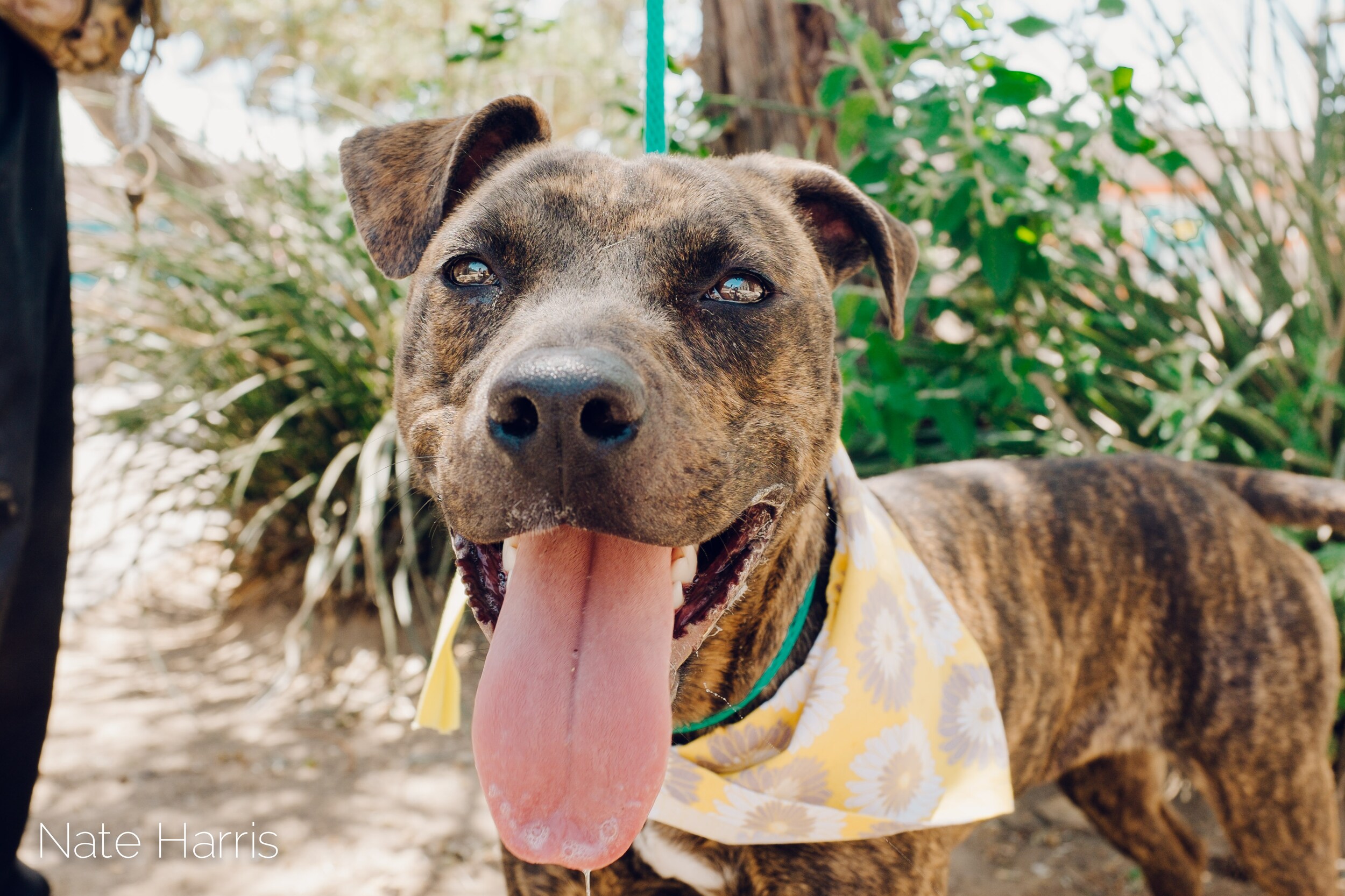 MIA-A1771313-W.jpg