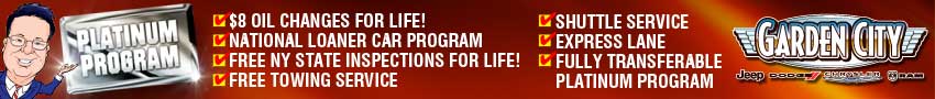 Platinum Program Horizontal Header.jpg