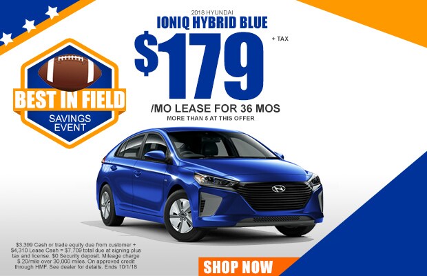 ioniq (35).jpg