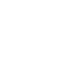 Brake Icon