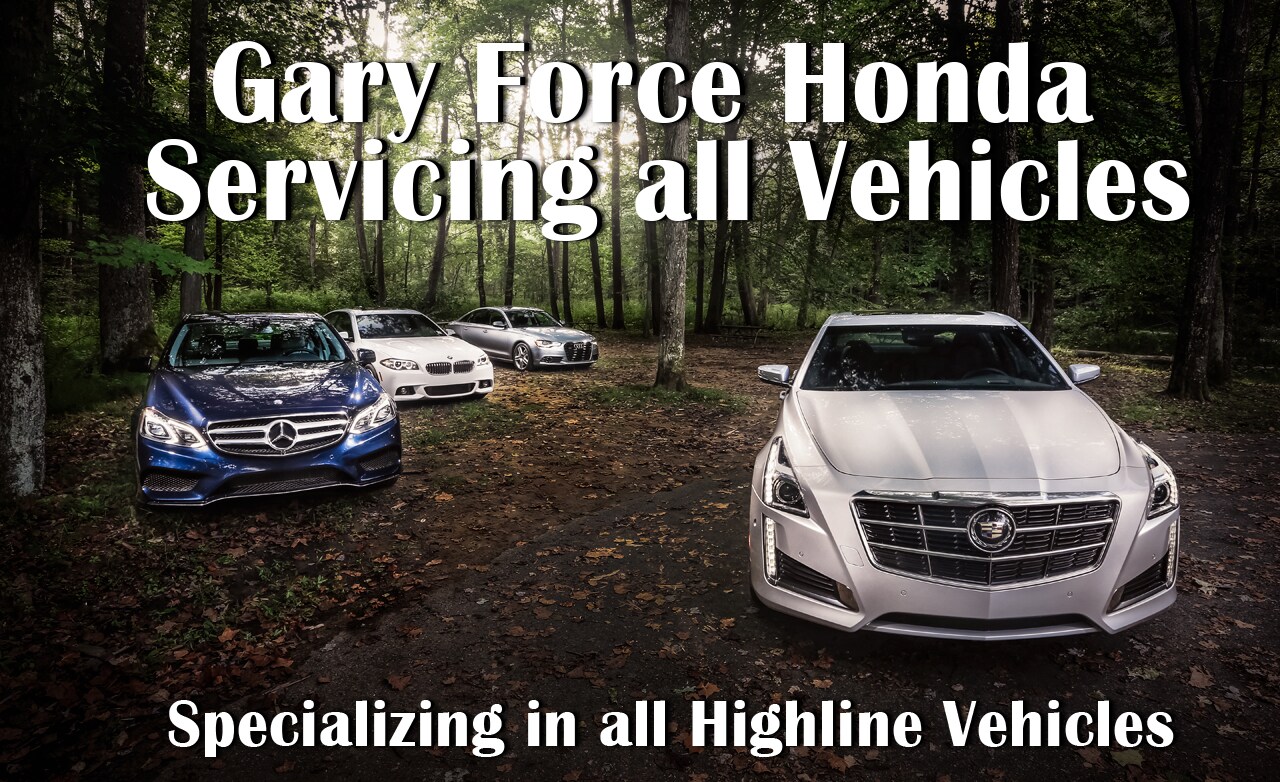 Gary Force Honda Servicing All Vehicles