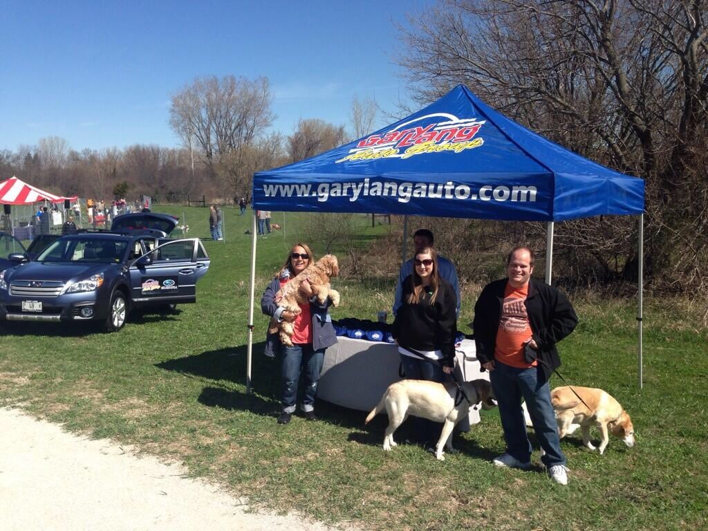 Display with Dogs.jpeg