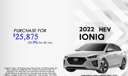 Ioniq HEV.jpg