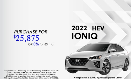 Ioniq HEV.jpg