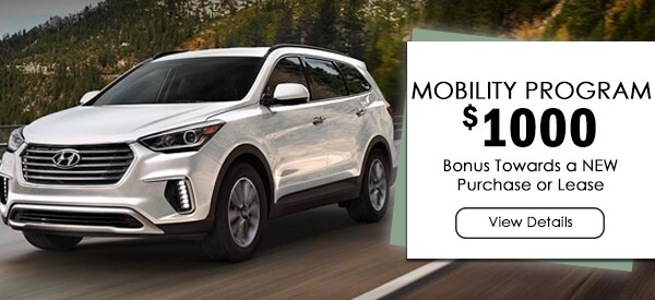 MOBILITY PROGRAM.jpg