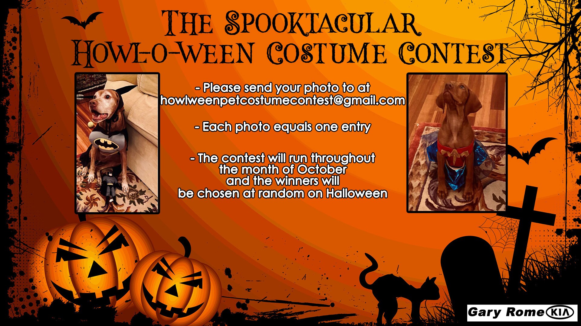 Halloween Pet Costume Contest Kia 2.jpg