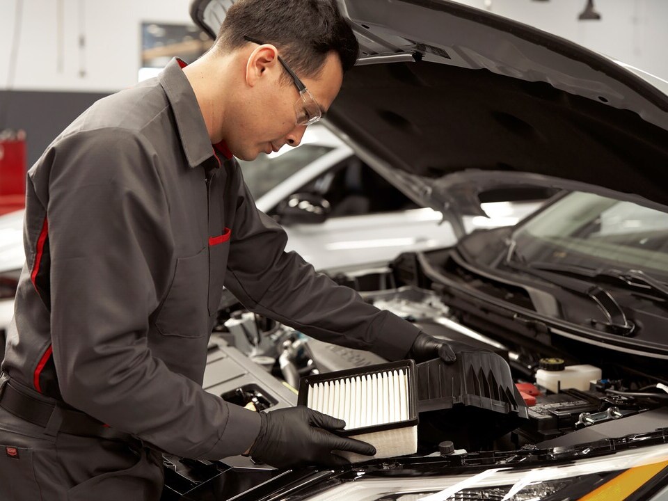 Complimentary Maintenance