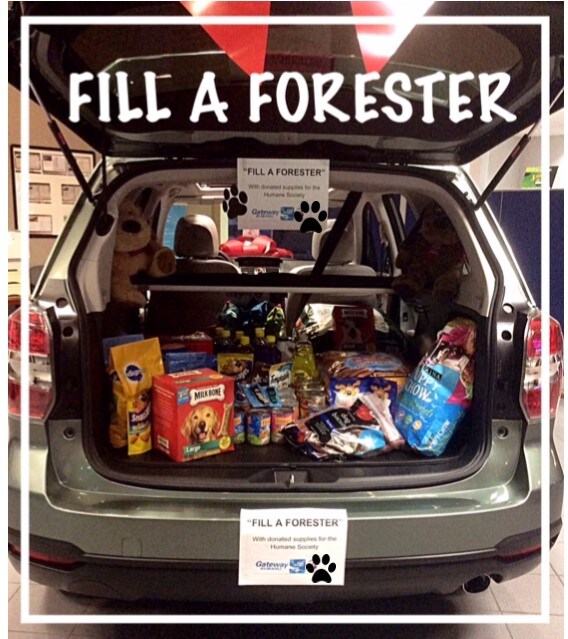 Fill A Forester Pic.jpg