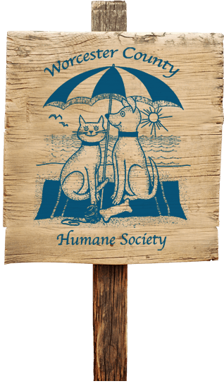 Worcester Humane Society.png