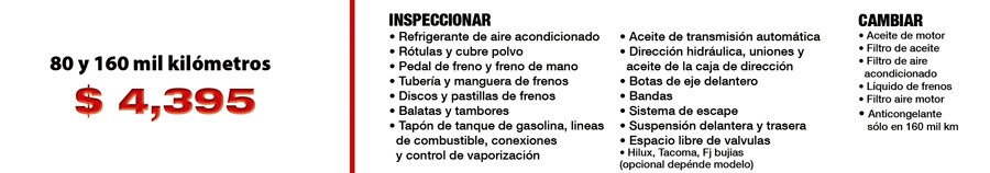 04_Servicios.jpg