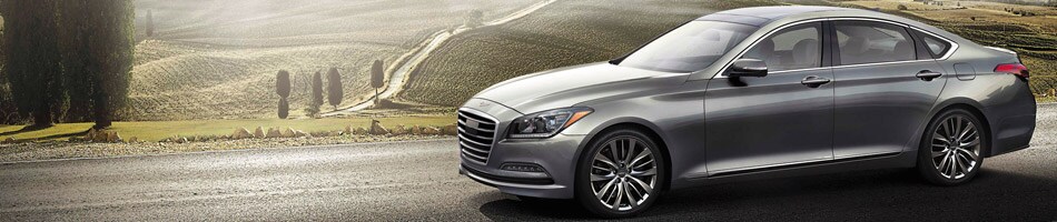 Fort Mill Genesis: About Us G80 driving in wine country