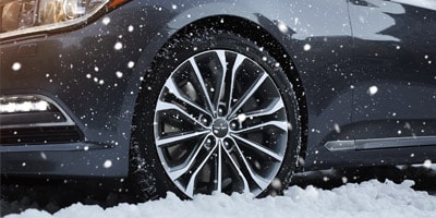 Delight yourself with the Genesis Experience G80 in the snow