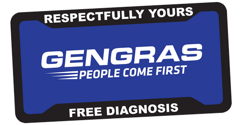 PlateFrameBlueGengrasFreeDiagnosis500.png
