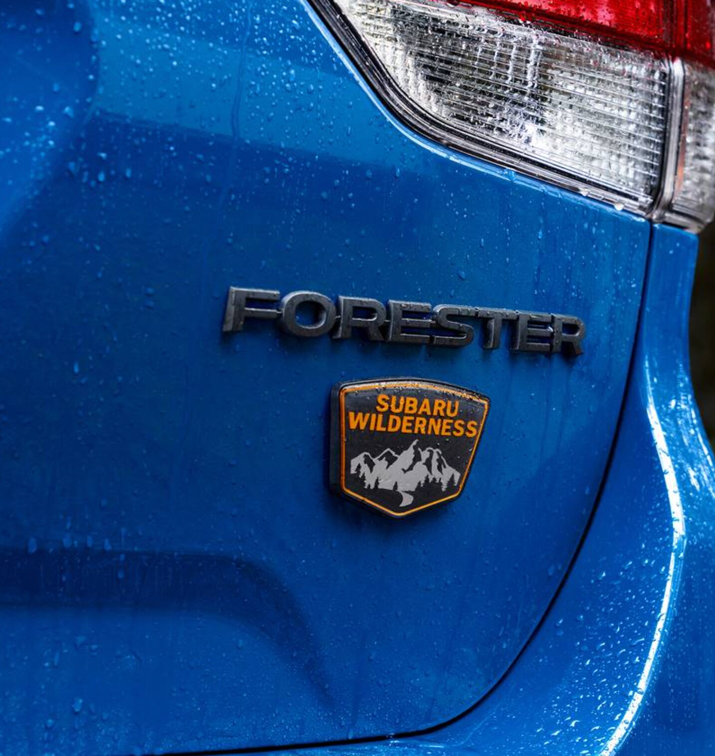 2022 Subaru Outback Wilderness near me.png