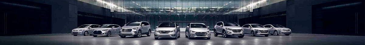 2017_Full_Line_Silver_0004_HMA.png