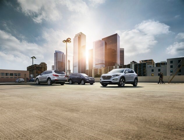 2016HyundaiCUVFamily.jpg