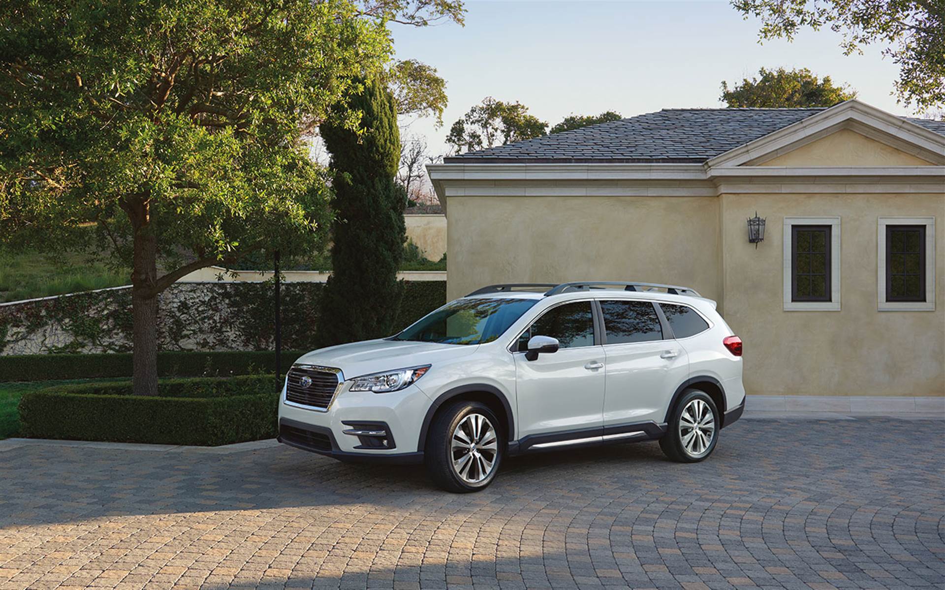 2019 Subaru Ascent.jpg