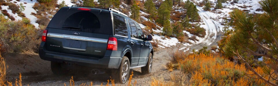 Ford Expedition SUV