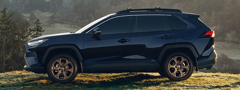 2025 Toyota RAV4 Tampa Florida