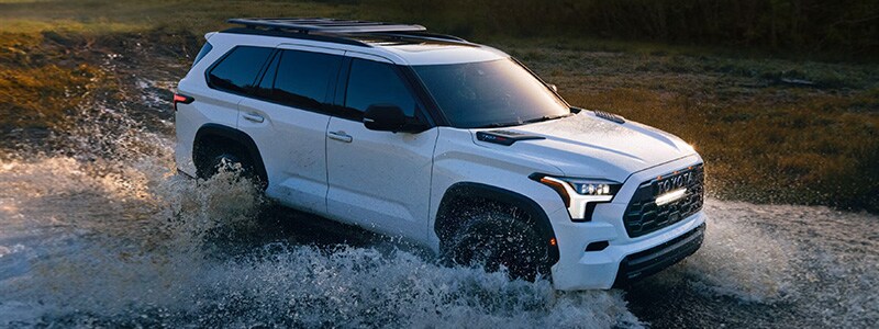 2025 Toyota Sequoia Tampa FL