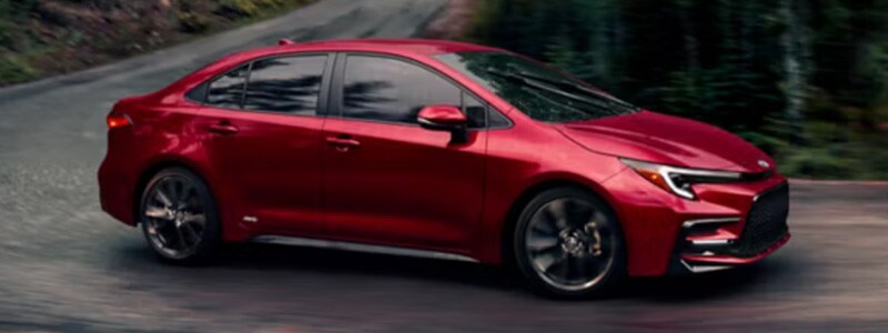 2026 Toyota Corolla Tampa FL