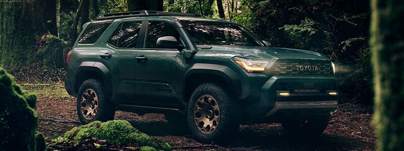2025 Toyota 4Runner Tampa FL