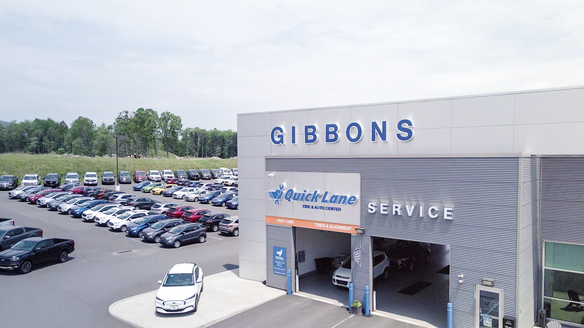 Gibbons Ford Photo Edits-1.png