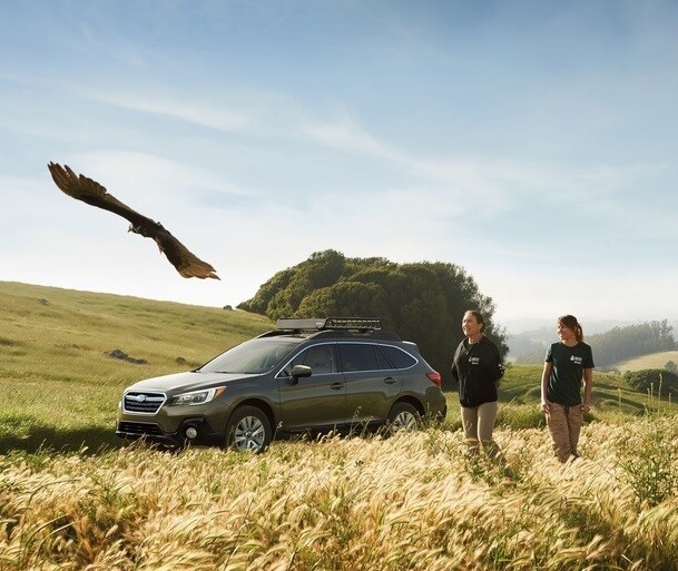 2018 Subaru Outback in a field