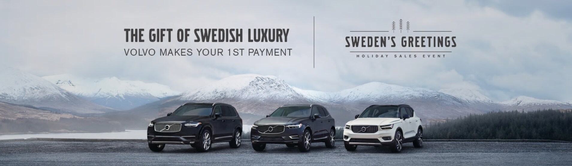 banner volvo.PNG