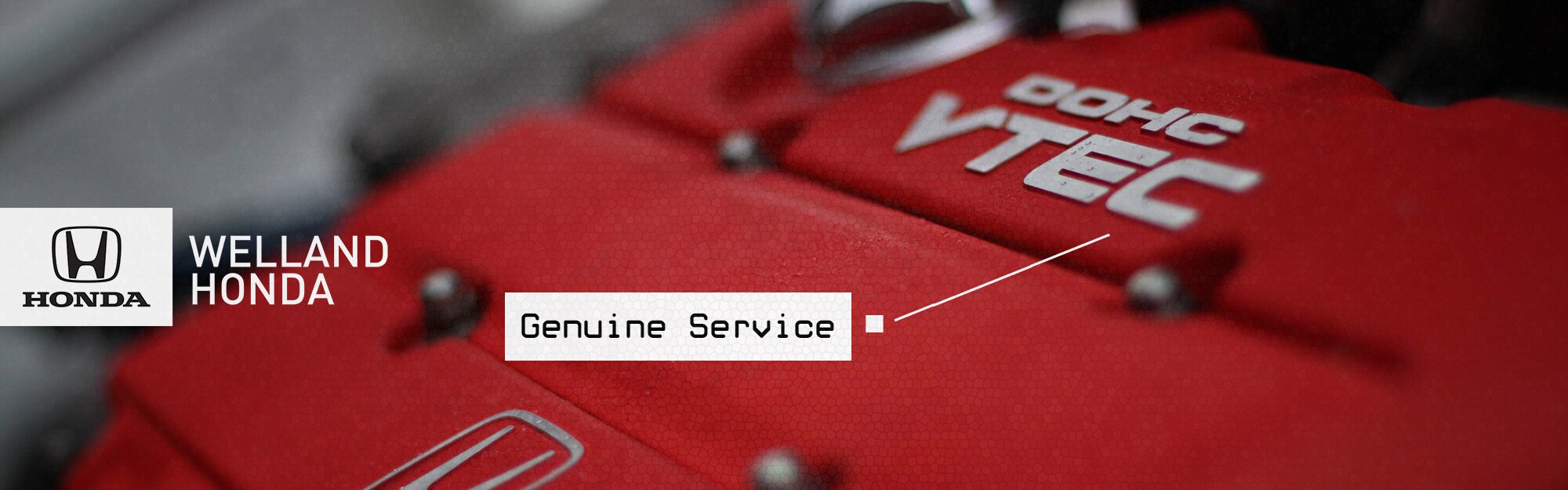 GenuineService.jpg