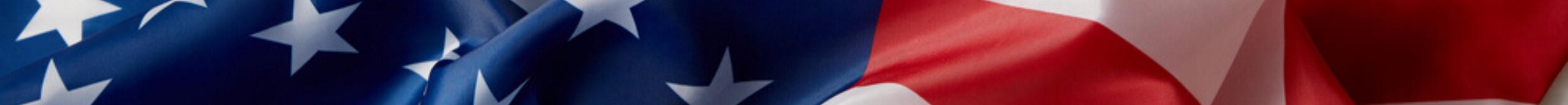 flag banner.png