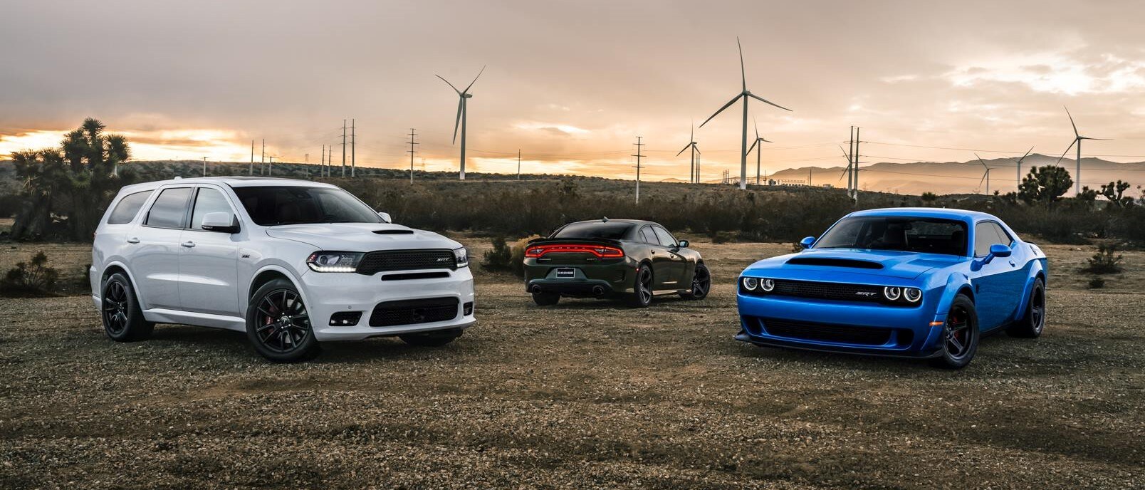 Dodge's Lineup Brings a Lot to the Table.
