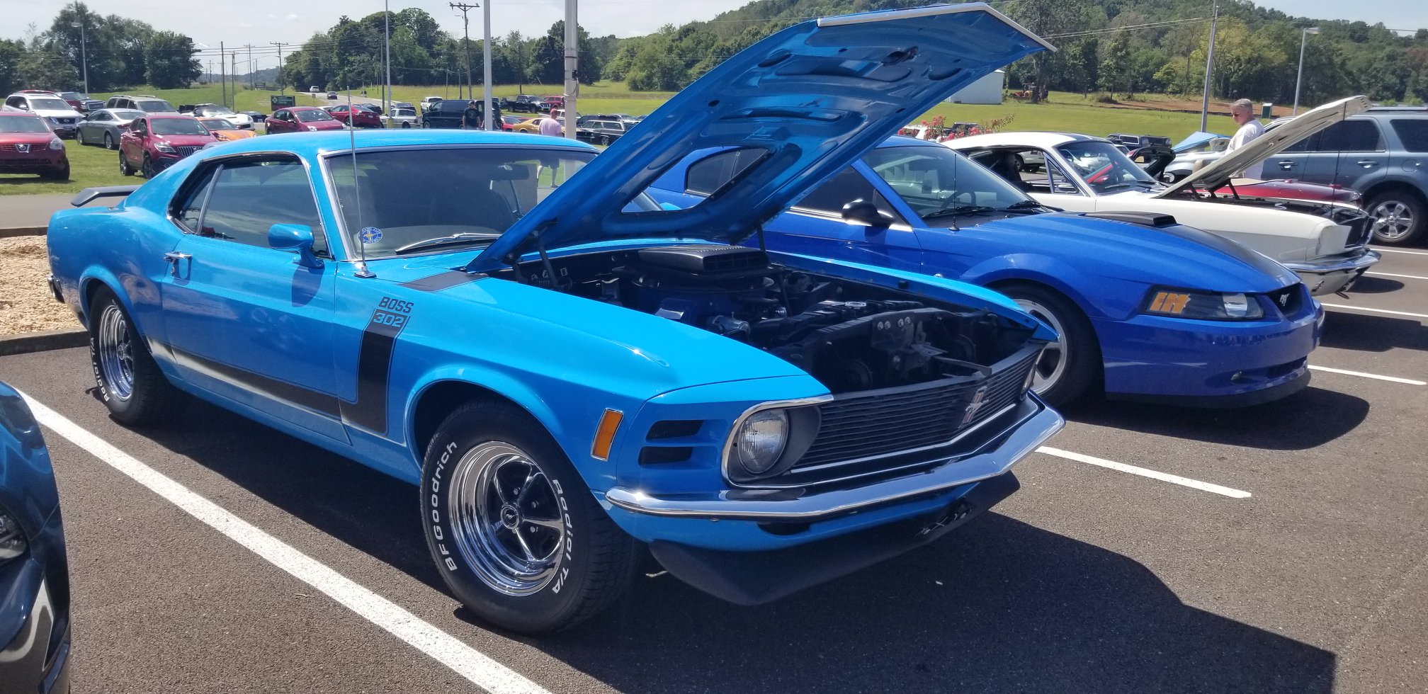 1972 Boss 302 Mustang Blue.jpg
