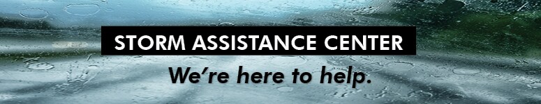 ALL.2020.08.34.775X150_9.storm- small banner.jpg