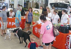 Subaru North Dog Days Event