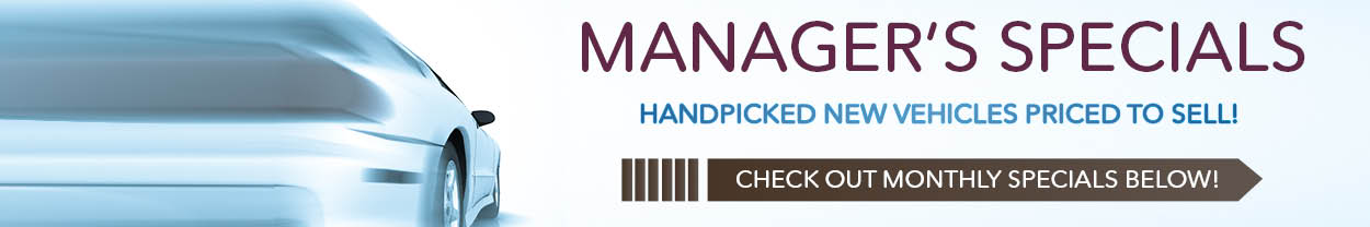 39.900x150.hSB_2.managerspecials.jpg