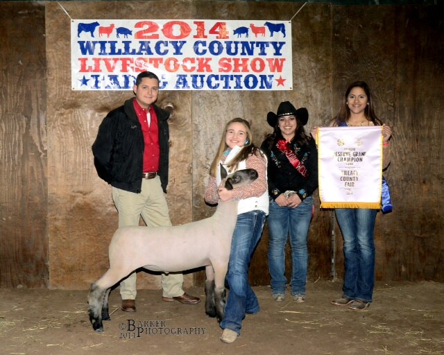 2014WillacyCountyLivestockShow-1.jpeg