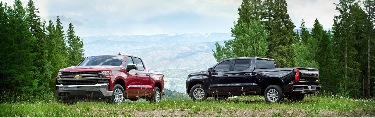2020 Chevy Silverado 1500 near San Benito