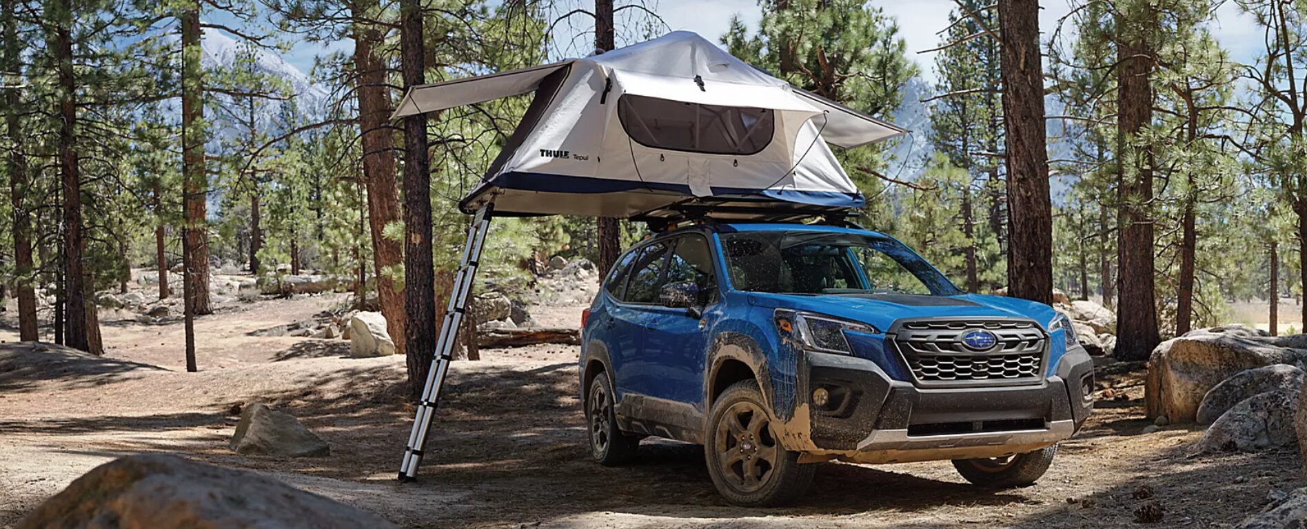 The Subaru Forester Wilderness Gillman Subaru San Antonio