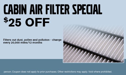 Cabin Air Filter Special