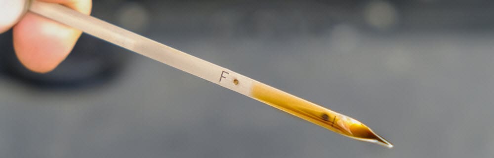 Oil Dipstick Level