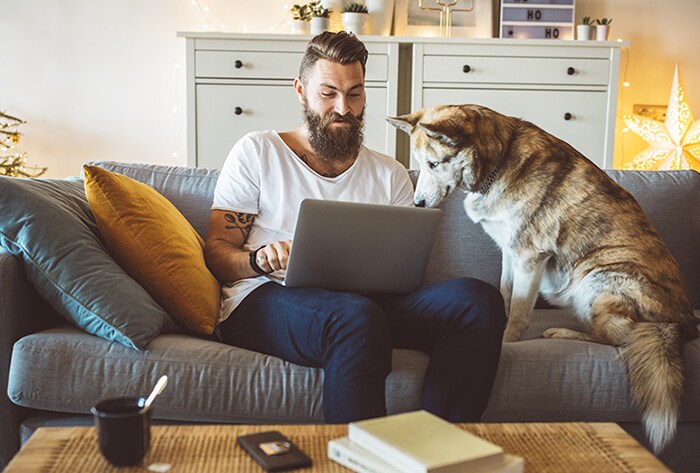 laptopshoppingdog.jpg