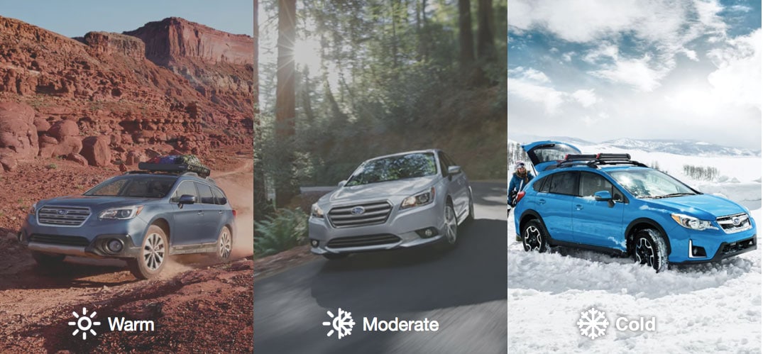 all-seasons-header.jpg