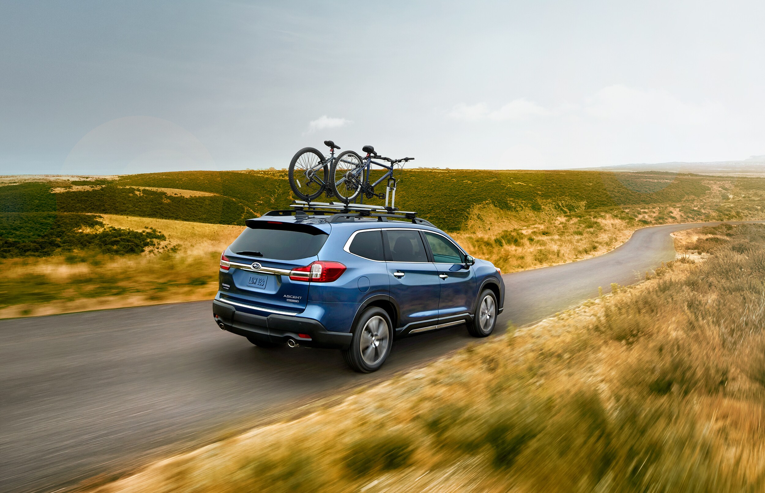 2020 Subaru Ascent (3).jpeg