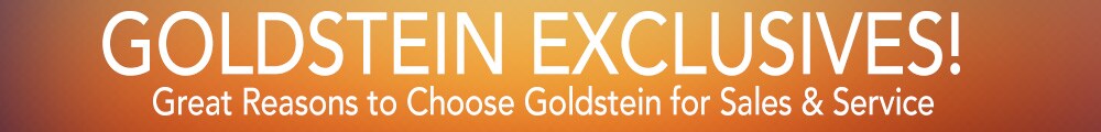 GOLDEX-HeaderNOBull.jpg